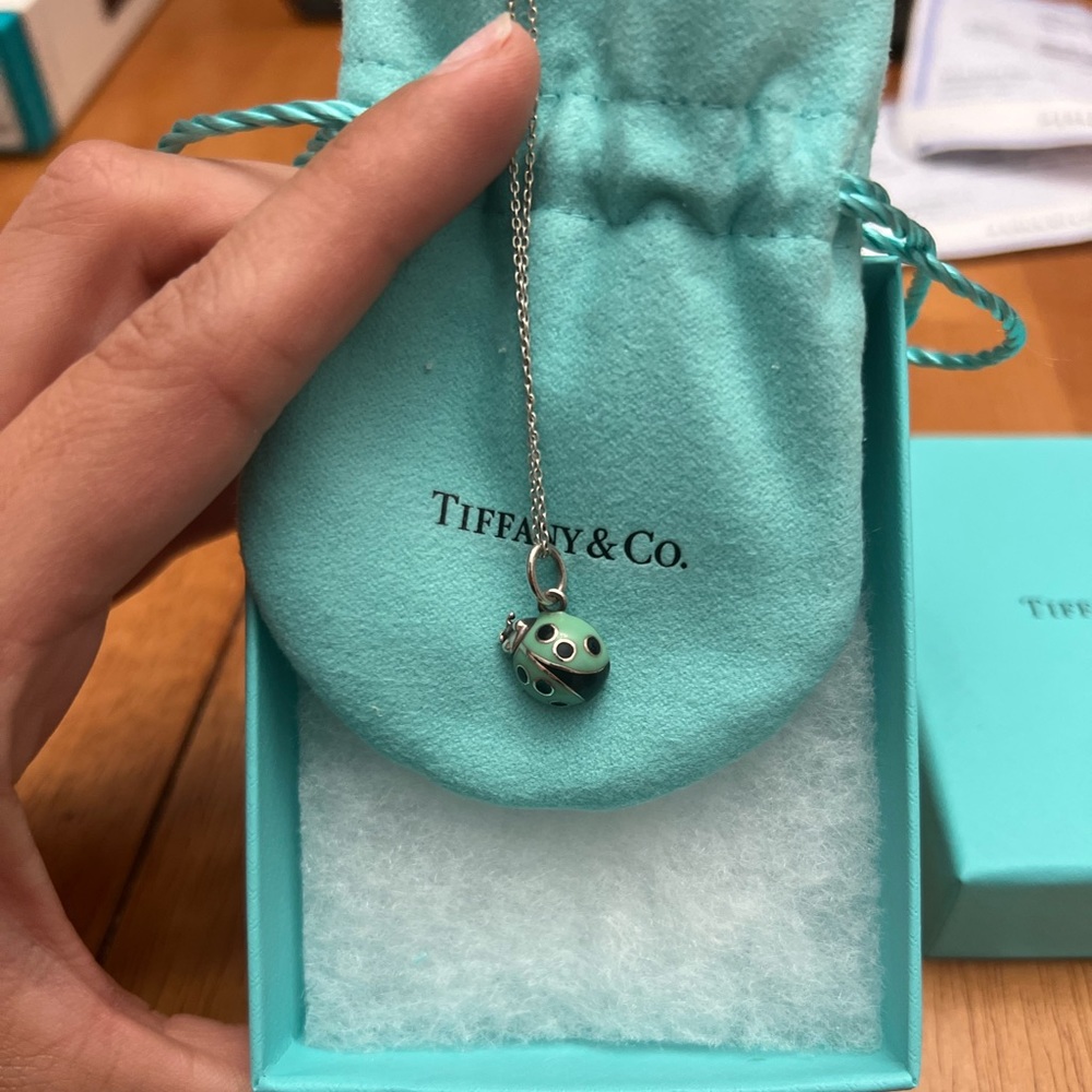 - Tiffany blue ladybug charm with Tiffany 10” chain.